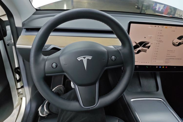 特斯拉 Model Y 2021款 Performance高性能全轮驱动版中控内饰13