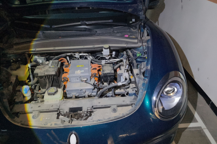 欧拉好猫 2023款 401km标准续航 尊贵型 磷酸铁锂局部细节9003