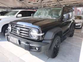 坦克300 2024款 2.0T 征服者