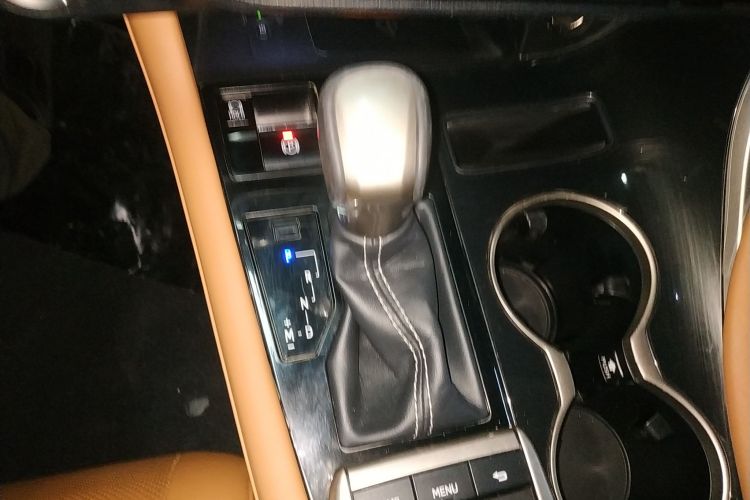 雷克萨斯RX 2020款 300 四驱典雅版 国VI局部细节18