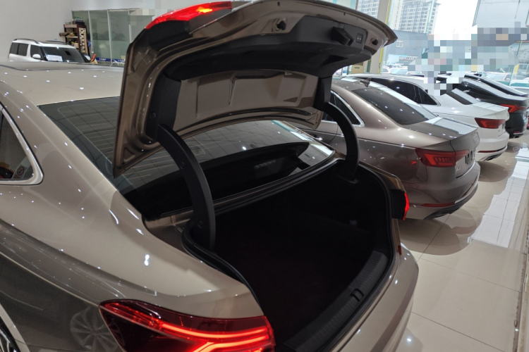 大众 帕萨特 2020款 380TSI 旗舰版 国VI局部细节23