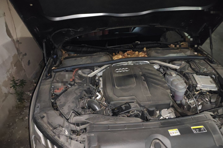 奥迪A4L 2023款 40 TFSI 豪华动感型局部细节9006