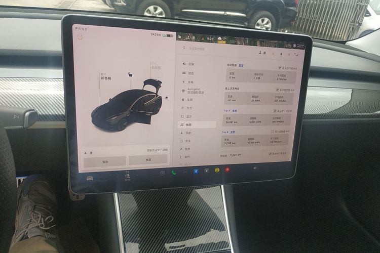 特斯拉 Model 3(进口) 2019款 长续航全轮驱动版局部细节14