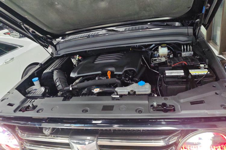 坦克300 2023款 城市版 2.0T 我看型局部细节24