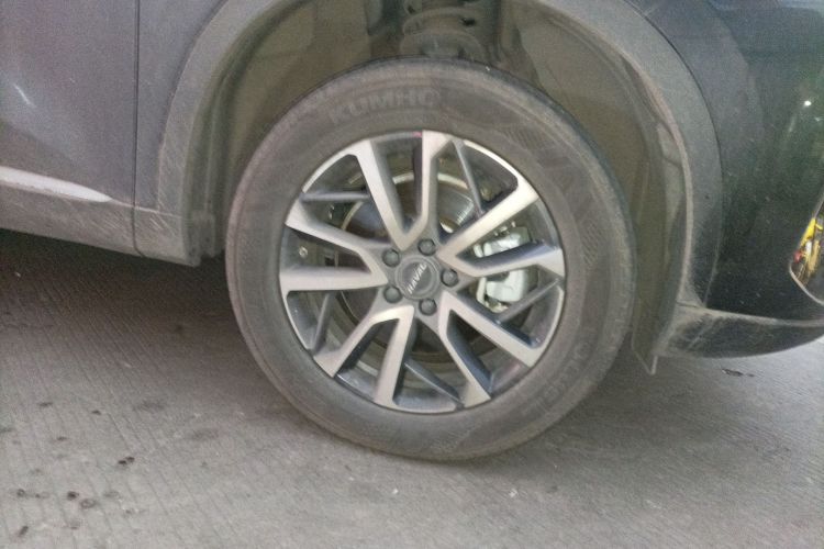 哈弗H6 2024款 1.5T 两驱经典版车身外观10