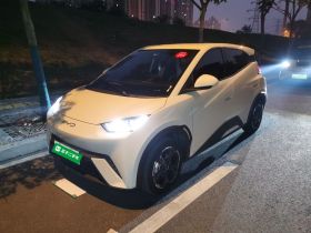 比亚迪 海鸥 2023款 自由版