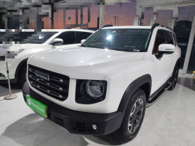 哈弗大狗 2021款 2.0T DCT四驱中华田园犬版