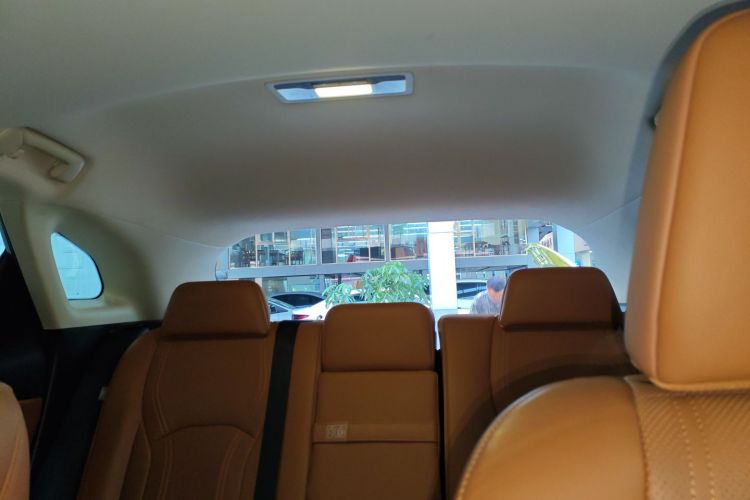 雷克萨斯RX 2020款 300 两驱舒适版 国VI局部细节22