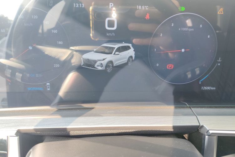 奇瑞 瑞虎8 PRO 2024款 冠军版 290T 两驱巅峰版 5座局部细节14