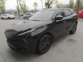 东风风行 风行T5 EVO 2021款 1.5TD DCT钻石版