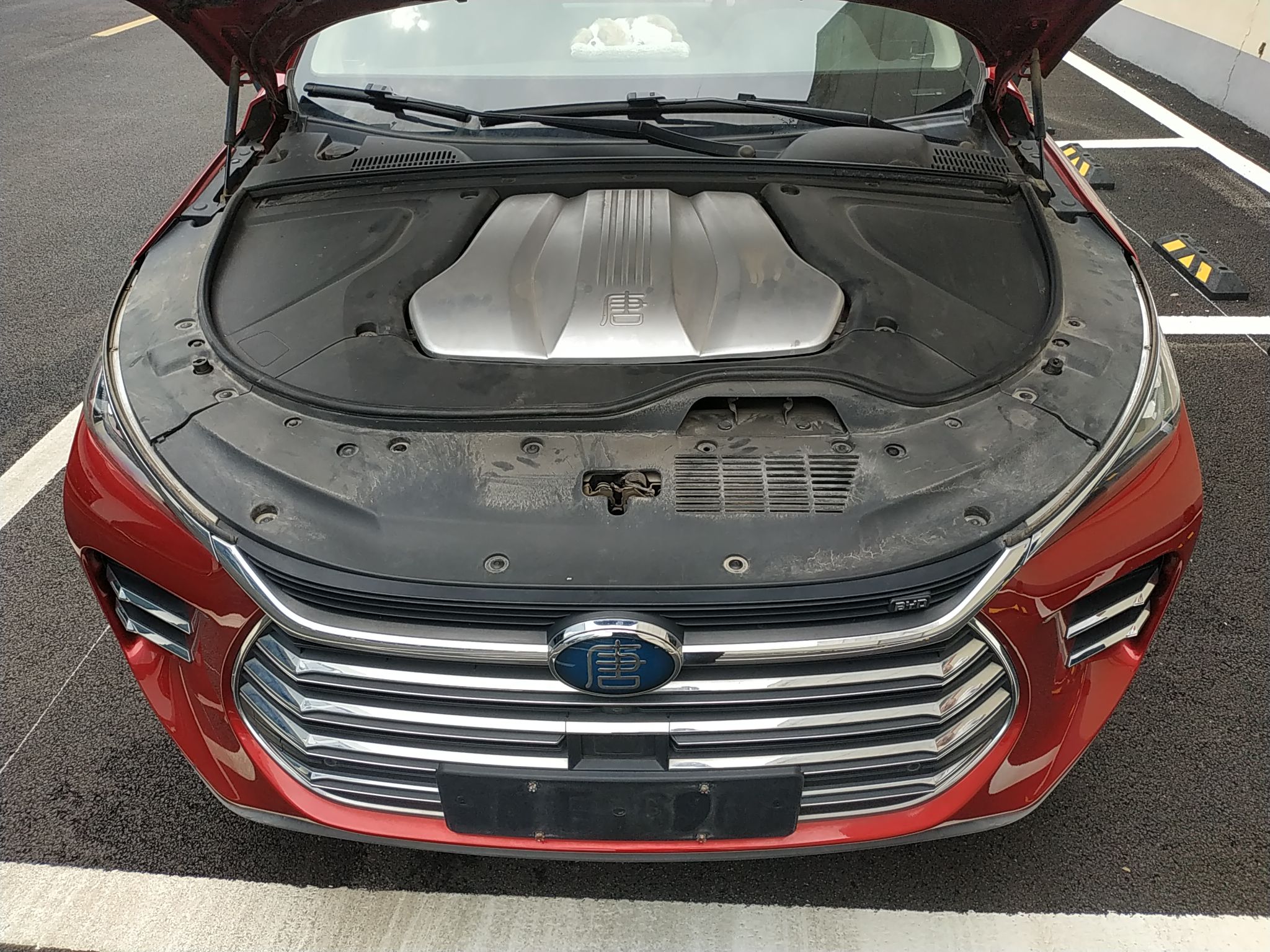 比亚迪 唐新能源 2018款 DM 2.0T 全时四驱智联创领型 7座 国V