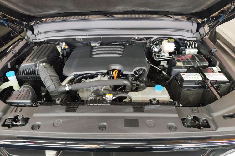 坦克300 2021款 越野版 2.0T 征服者机舱底盘24