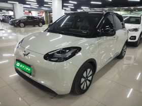 五菱汽车 五菱缤果 2024款 410km 灵犀尊享款