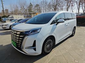 腾势D9 2024款 DM-i 980 四驱旗舰型