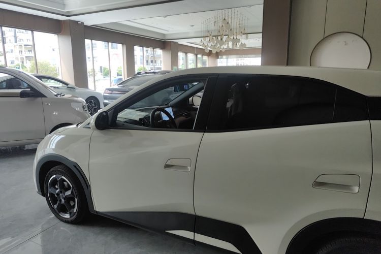 比亚迪 海鸥 2023款 自由版车身外观4