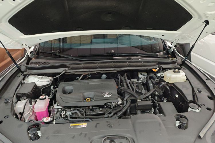 雷克萨斯RX 2023款 350h 两驱悦享版局部细节24