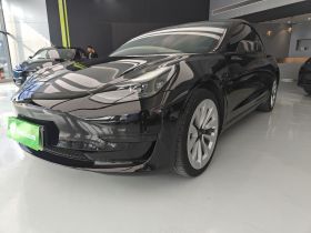 特斯拉 Model 3 2022款 后轮驱动版