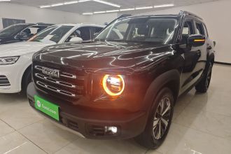 哈弗大狗 2021款 1.5T DCT两驱拉布拉多版