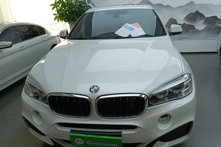 宝马X6 2019款 xDrive28i M运动套装车身外观6001