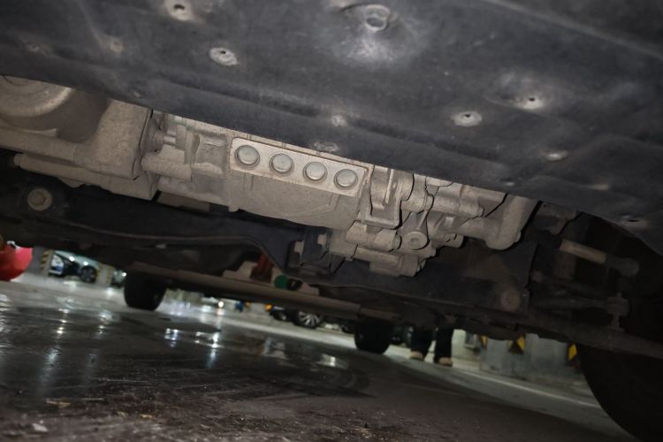 思皓 2022款 花仙子款 四叶草局部细节9008