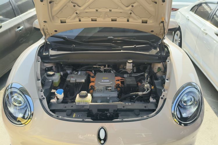 欧拉好猫 2023款 401km标准续航 尊荣型 磷酸铁锂机舱底盘24