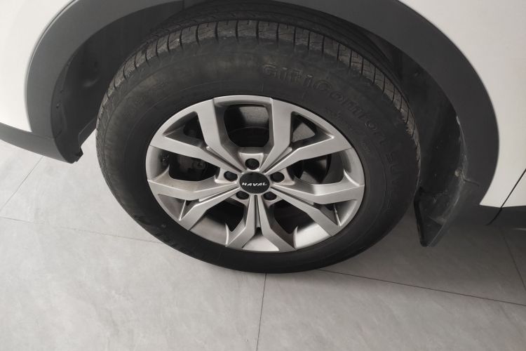 哈弗H6 2021款 国潮版 1.5T 自动冠军版车身外观6007