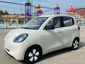 五菱汽车 宏光MINIEV 2025款 四门版 进阶款