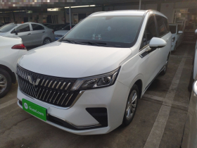 五菱汽车 五菱佳辰 2022款 1.5L 手动轻享舒适型