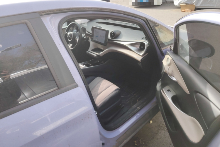 比亚迪 海豚 2023款 420km 自由版局部细节9005