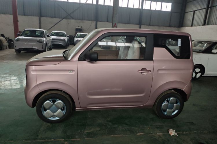 吉利银河 2024款 熊猫mini 200km 耐力熊车身外观4