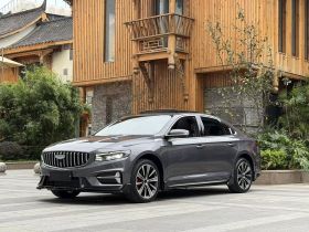 吉利汽车 星瑞 2025款 东方曜 2.0TD 望月版