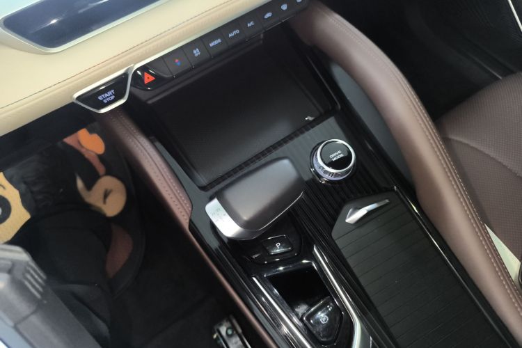 吉利汽车 星越L 2021款 2.0TD DCT EVO两驱尊贵型中控内饰18