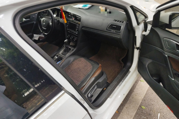 大众 高尔夫 2018款  230TSI 自动豪华型局部细节9005