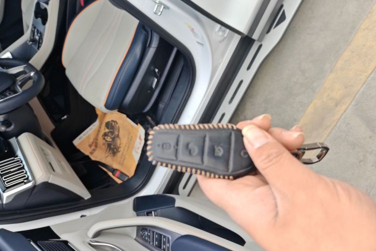 比亚迪 宋PLUS新能源 2023款 冠军版 DM-i 110KM 旗舰PLUS中控内饰7001