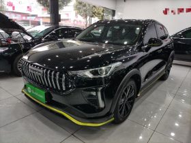 哈弗赤兔 2021款 激擎版 1.5T 白银兔