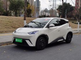 比亚迪 海鸥 2023款 活力版