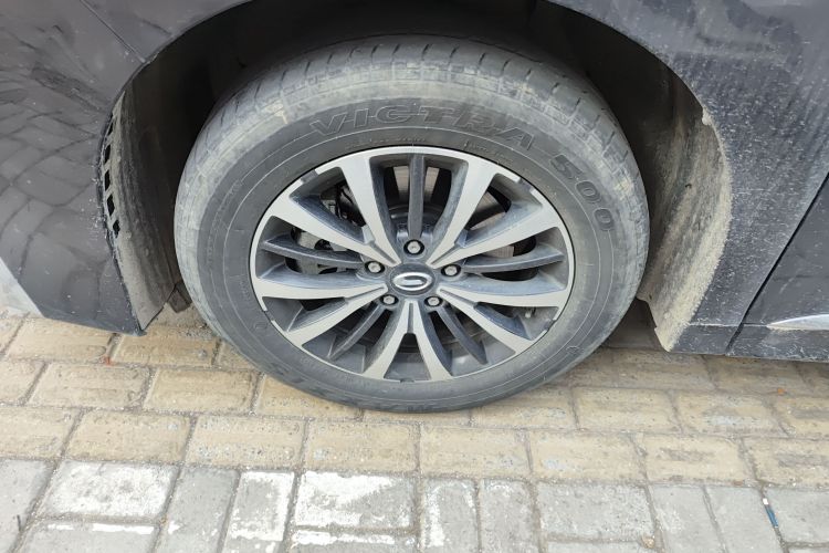 广汽传祺 传祺M8 2023款 领秀系列 390T 豪华版车身外观6007