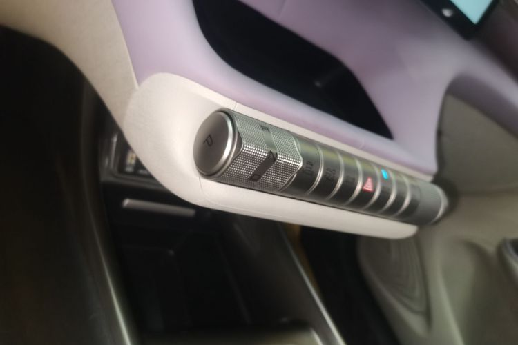 比亚迪 海豚 2021款 401km 骑士版局部细节18