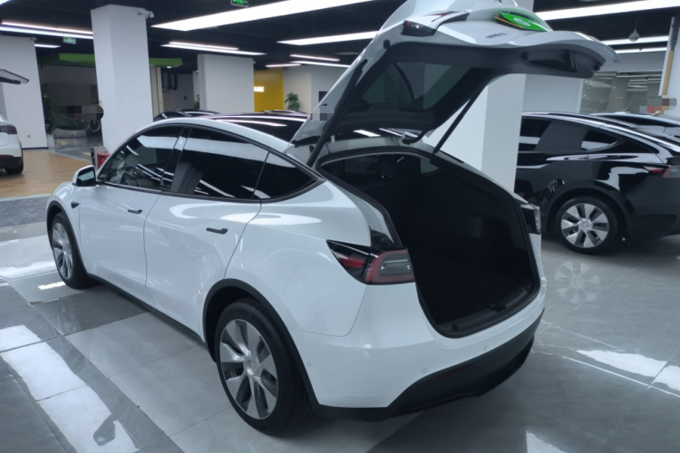 特斯拉 Model Y 2021款 长续航全轮驱动版局部细节23