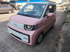 奇瑞 QQ冰淇淋 2022款 桃欢喜 甜桃款