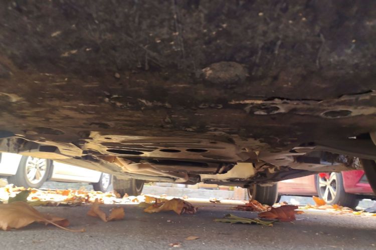 宝马X5(进口) 2014款 xDrive35i 豪华型局部细节9008