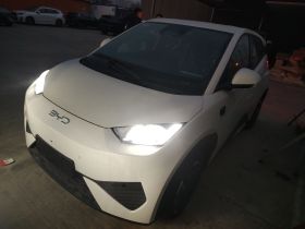 比亚迪 海鸥 2025款 305km 活力版