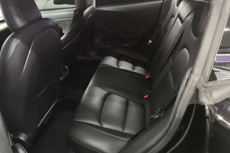 特斯拉 Model 3 2020款 标准续航后驱升级版中控内饰7004