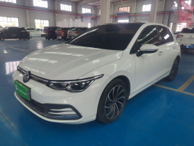 大众 高尔夫 2021款 280TSI DSG Pro