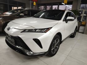 丰田 威飒 2023款 2.0L CVT两驱豪华版