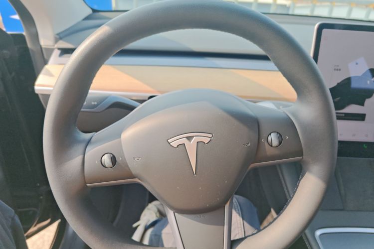 特斯拉 Model Y 2021款 标准续航后驱版局部细节13