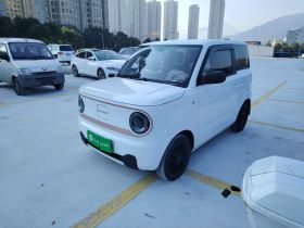 吉利银河 2024款 熊猫mini 200km 龙腾PRO版