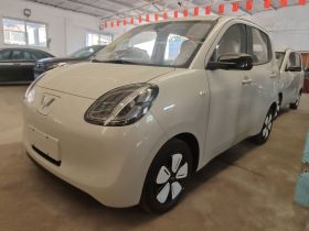 五菱汽车 宏光MINIEV 2025款 四门版 进阶款