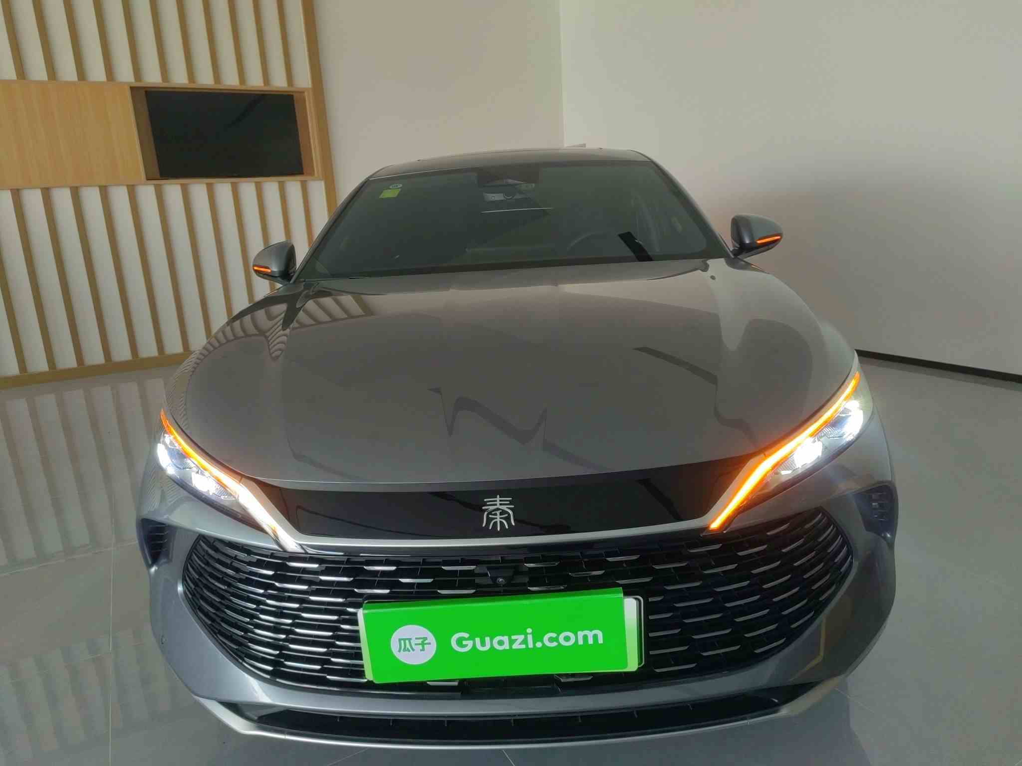 比亚迪 秦L 2024款 DM-i 120KM卓越型(1)