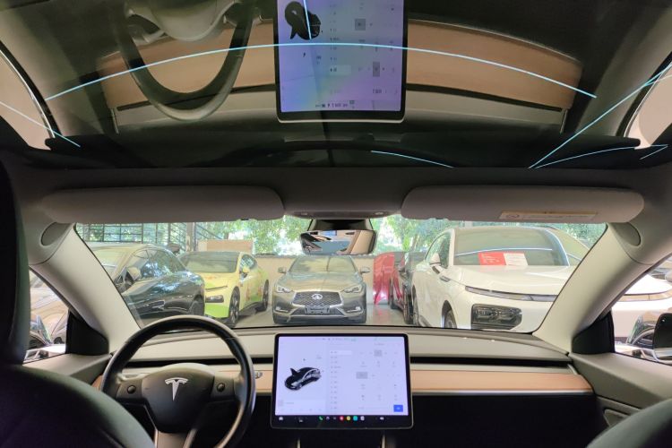 特斯拉 Model 3(进口) 2019款 长续航后驱版局部细节22